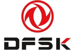 DFSK-logo9