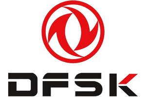 DFSK-logo9.jpg