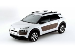 C4 Cactus | 2014-2020