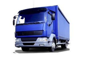 daf-lf-55-2001-2013-logo.jpg