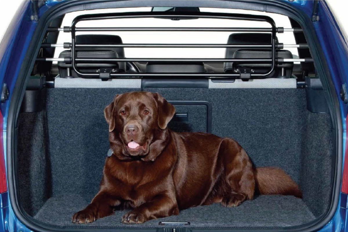 Dog guards and dividers