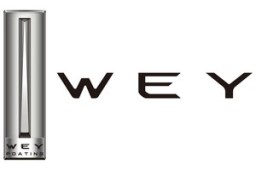 wey-logo