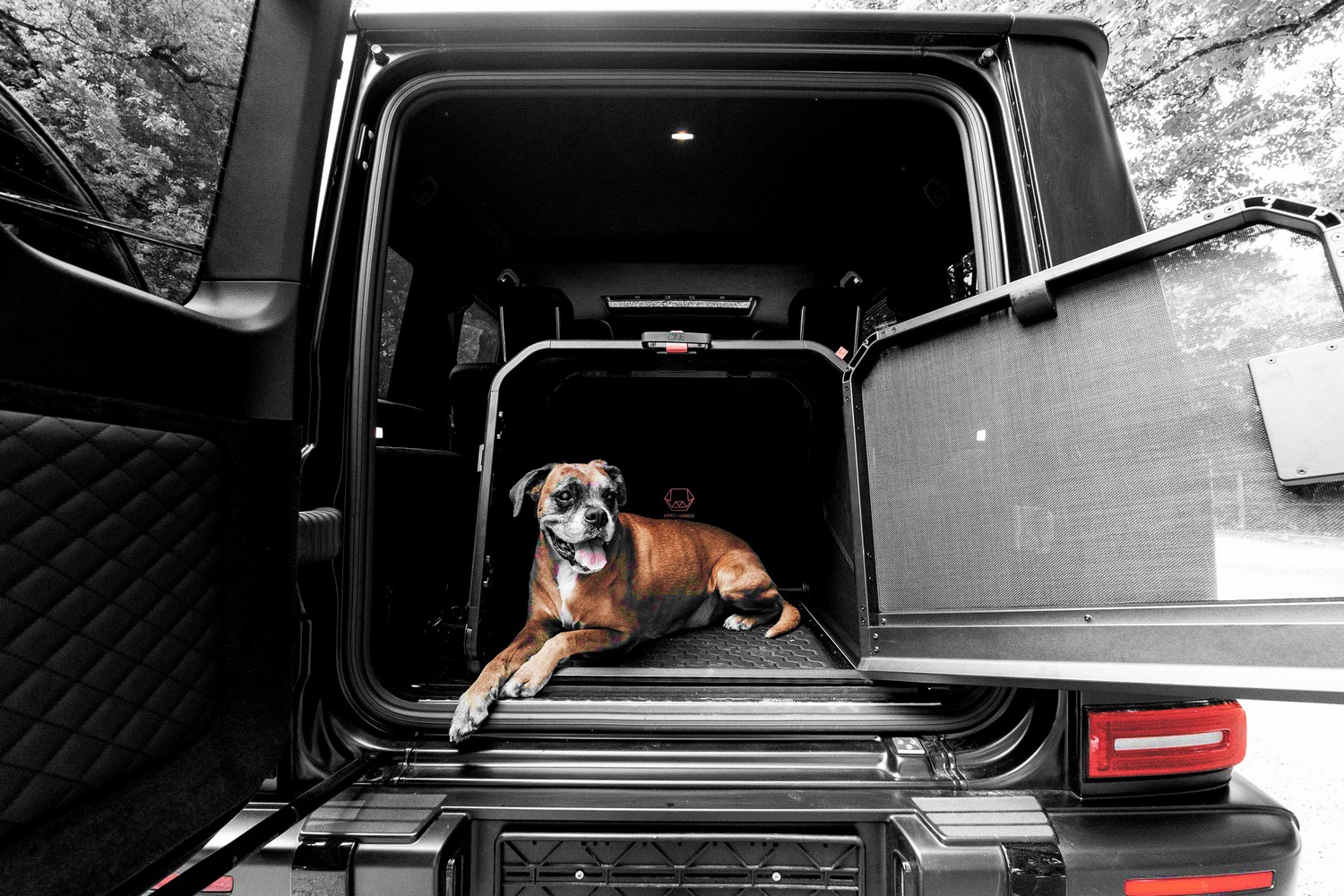 1one1 Origami M dog crate - Hundebox - hondenbench - cage pour chien (10) 1one1 Origami M dog crate - Hundebox - hondenbench - cage pour chien (10)