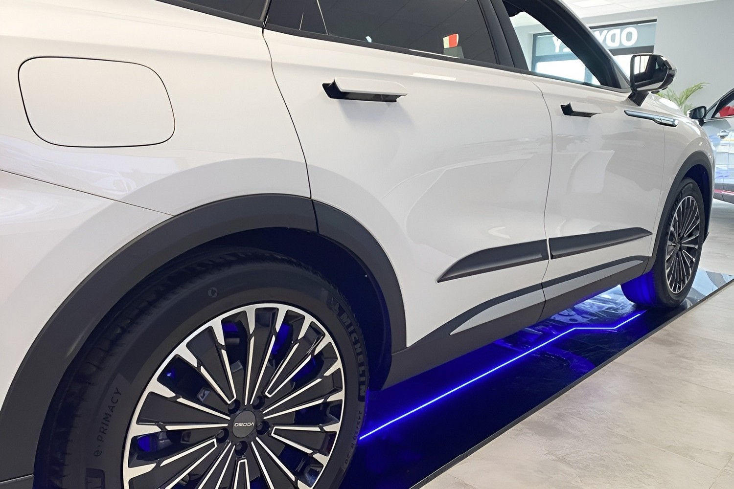 Seitenschutzleisten passend f&uuml;r Chery Omoda 9 2024-heute Set