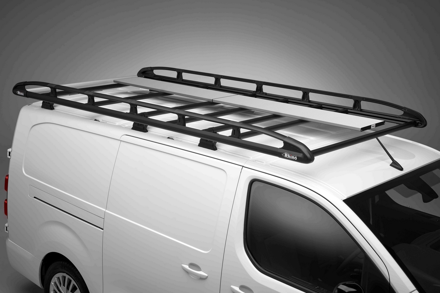 Example Walkway Rhino Platform (2)