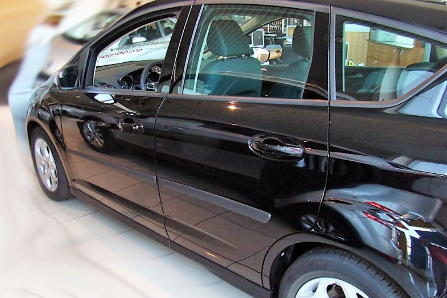 Seitenschutzleisten passend für Ford C-Max II 2010-2019 Set