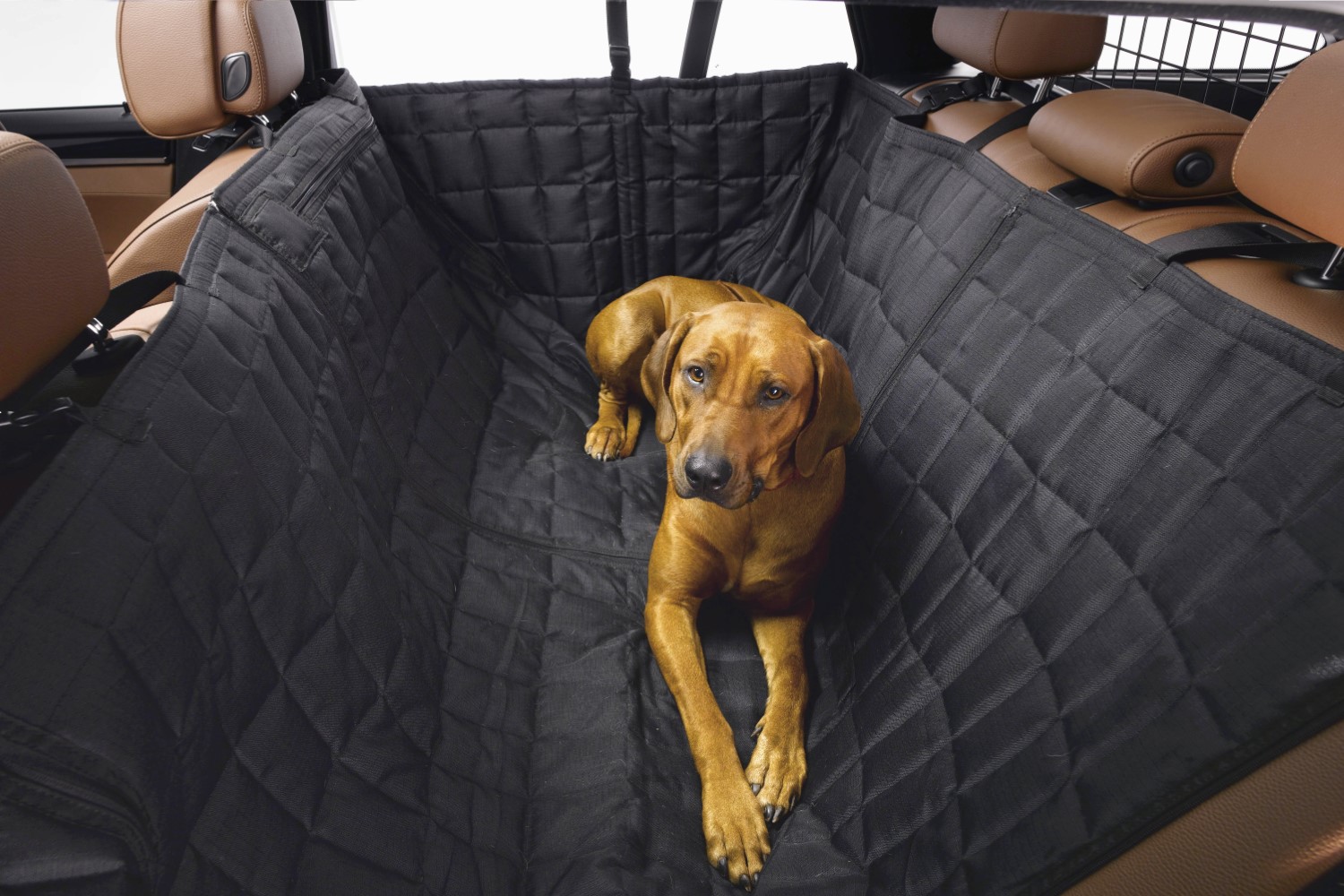 Harnais pour chien voiture Allsafe Comfort S