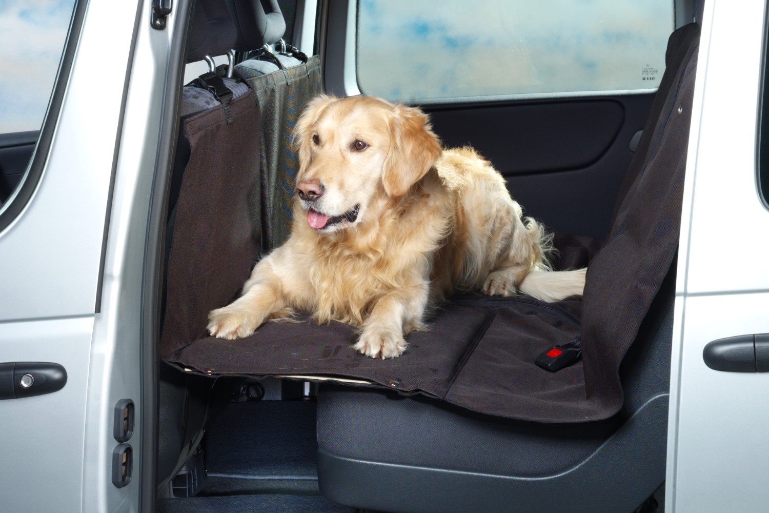 Harnais pour chien voiture Allsafe Comfort S