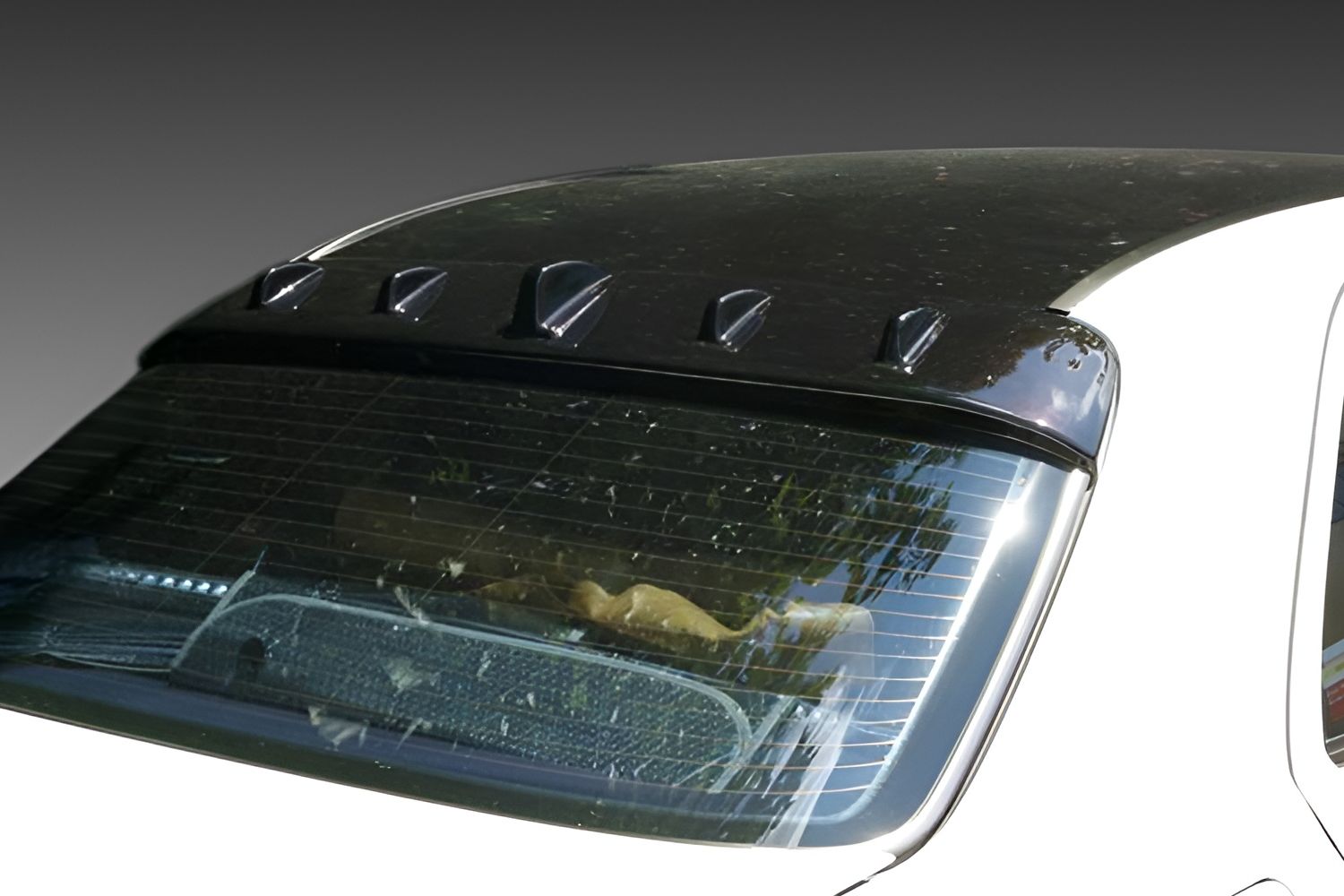 Becquet de toit convient à Mercedes-Benz Classe C (W202) 1993-2000 4 portes tricorps Becquet de toit convient à Mercedes-Benz Classe C (W202) 1993-2000 4 portes tricorps