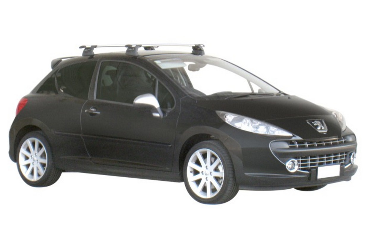 Peugeot 207 shop roof box