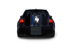 4pets PRO ScratchGuard (2)