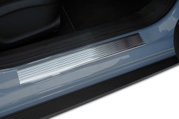 ea-31-example-door-sill-plates-stainless-steel-brushed-pu-2-pcs-1