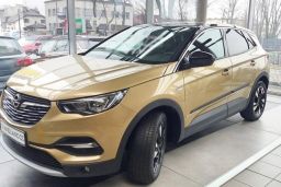 Door protector Opel Grandland X 2017-2024 suv (OPE3GRPU)