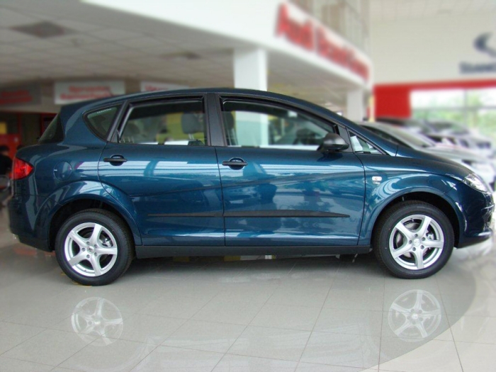 Seitenschutzleisten passend für Seat Toledo (5P) 2005-2009 5-Türer Schrägheck Set