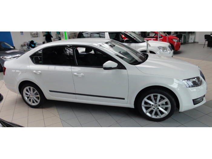 Seitenschutzleisten passend für Skoda Octavia III (5E) 2013-2020 5-Türer Schrägheck Set