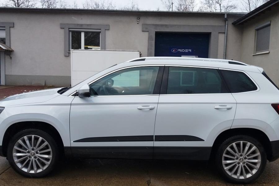 Seitenschutzleisten Skoda Karoq NU   CarParts Expert