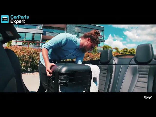 Video 4pets Caree - NL