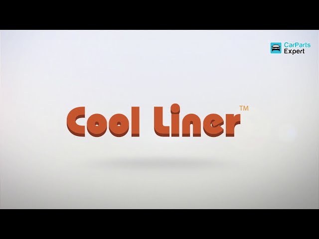 Video 1 boot mats Cool liner FR