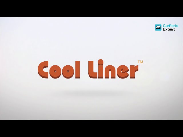 Video 1 boot mats Cool liner DE